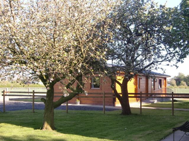 Chestnut Lodge Pilling Exterior photo